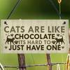 Деревянная табличка для кошек, подвесной дизайн со следами кошек, принт котенка, забавные подвесные таблички для дома кошек для домашних животных