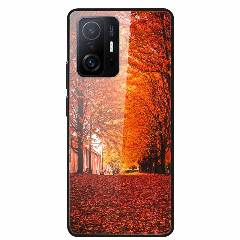 Чехол Для Xiaomi 11T Pro Стекло Жесткий Закаленное Стекло ПК Чехол Для Телефона Для Xiaomi Mi 11T 11 T Pro Ударопрочный Пейзаж Милый Capa Coque