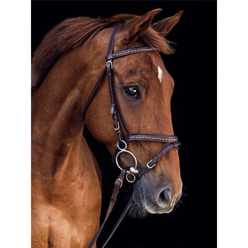 5D DIY Алмазная картина Набор Скачущая лошадь Алмазная вышивка Стразы Украшения для дома