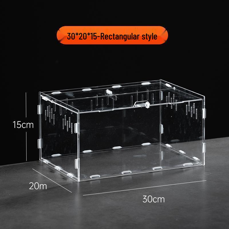 Small Acrylic Reptile Habitat: Transparent Observation Box for Spider, Lizard, Mantis, and Rainforest Landscape