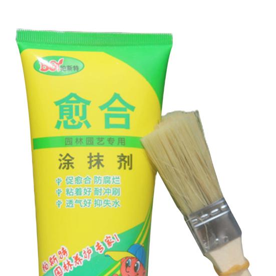 250 г паста для прививки бонсай, лечебное средство для растений с щеткой для ремонта повреждений, паста для обрезки, принадлежности для растений