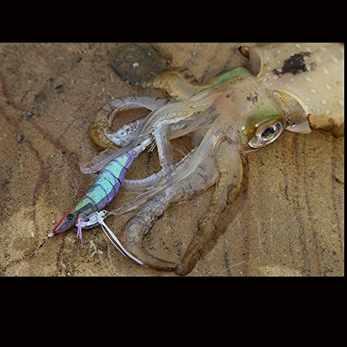 DUEL YO-ZURI Egi Shrimp Q No. 3.5 2: Marble Orange Squid fishing, bluefin squid, egging