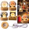 Flower Crystal Ball Night Light with Woodern Base Cute Night Light Office Home Decor Gifts for Men Women Kids Boys Girls