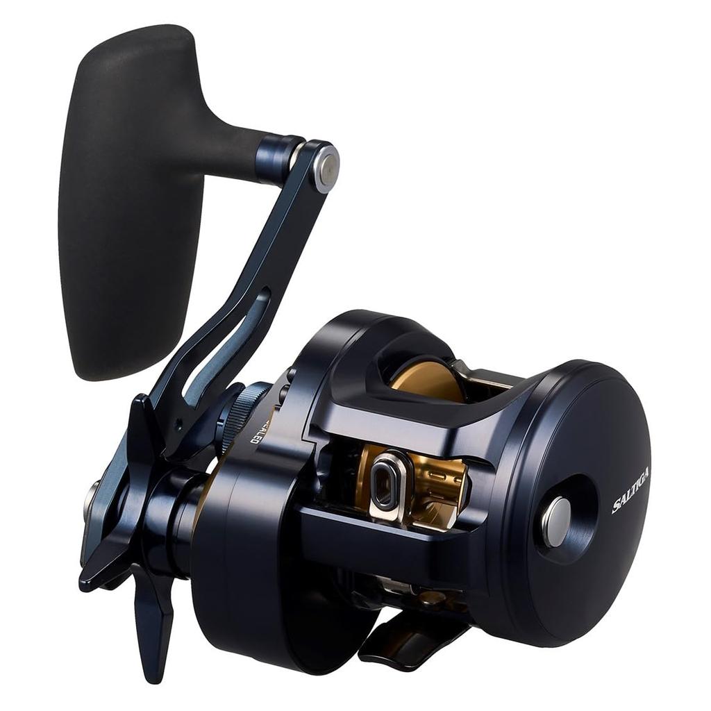 DAIWA Jigging Bait Reel SALTIGA 300