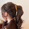 Korean Style Vertical Clip Hairpin Korean Hair Clip Sweet Plastic Banana Clip  Women