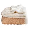Теплое зимнее одеяло, двухслойное одеяло из микрофибры, пушистое, теплое, легкое, мягкое, моющееся, антистатическое, бежевое, 70x100 см
