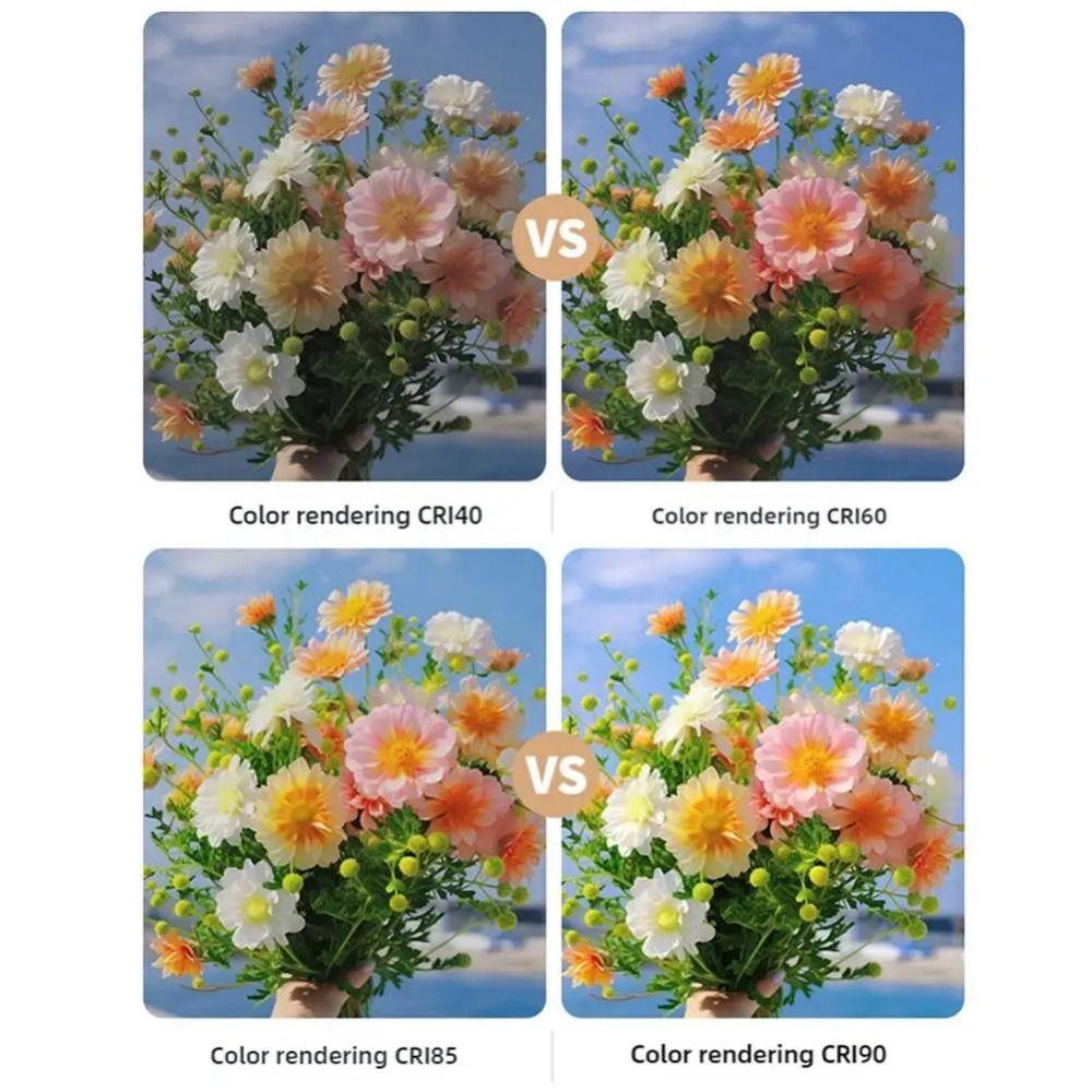 Clip on Portable LED Selfie Light Adjustable Brightness Mini LED Flashes  Computer