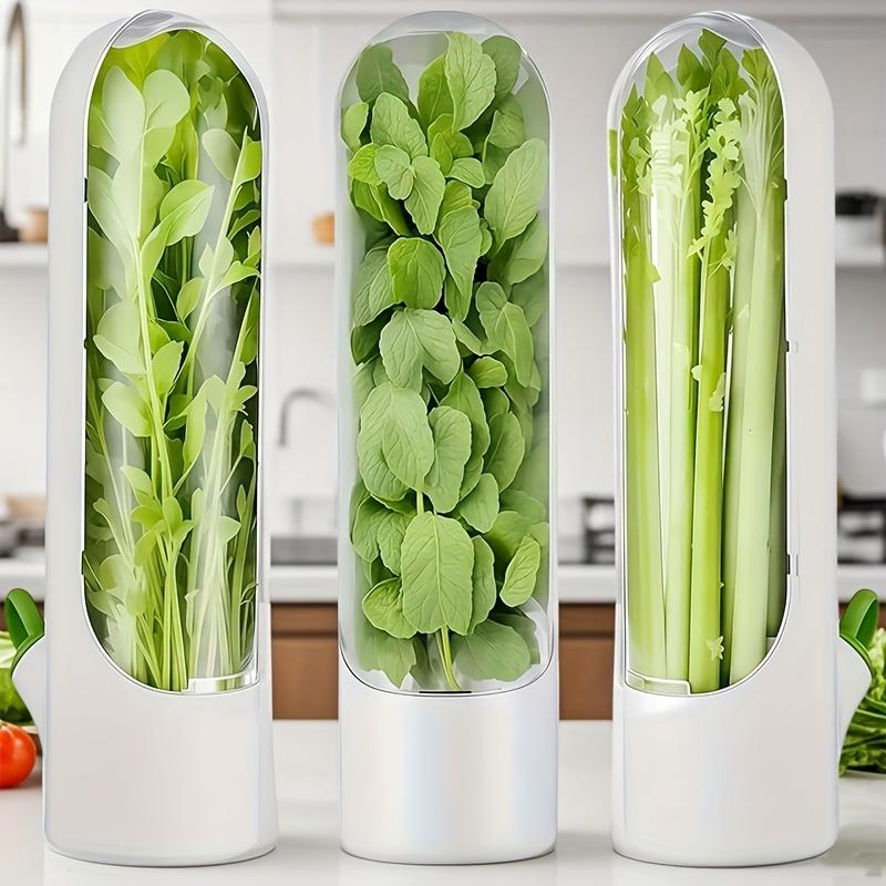 Large Capacity Refrigerator Herb Keeper Clear Vegetable Crisper Container Cilantro Asparagus Fresh Saver Box
