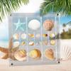 Mini Seashell Storage Box Plastic Seashell Collection Case New Small Craft Organizers Compartment