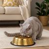 Stainless Steel Pet Feeding Bowl Gold Plated Cat Food Dish Anti-fall Dog Food Basin  for Feeding