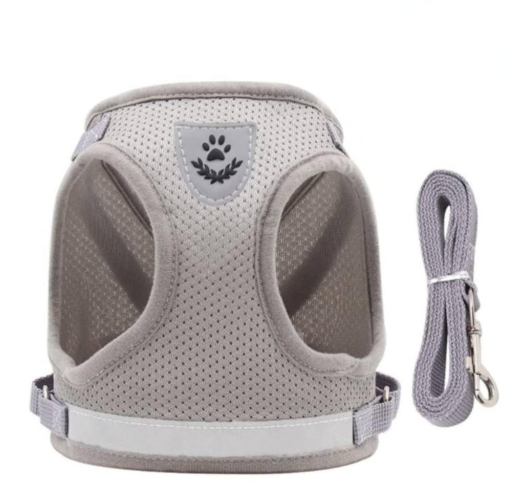 Dog Harness with Leash for Small and Medium Durable and Easy To Soft Cute and and Easy To Put On Size Dogs, Wear, Mesh, Stylish, Adjustable, (Gray, L)