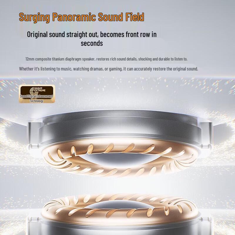 Saina G6S Ear-Hook Bluetooth Headphones