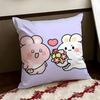 Asamimichaan Asleep Cushion Cover Reversible Soft Durable Pillow Cover Home  Car MultiScene Use for Daily Comfort