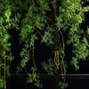 140 cm artificial plant black bone mango vine 1 piece 5 branches home wall hanging ivy green fake flower plant pine needles new