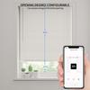 WiFi Tuya Smart Electric Blind Driver Motorized Chain Roller Timer With RF Remoteer Alexa Google Assistant Voice Control