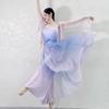 Классическая танцевальная одежда Фиолетовые широкие брюки Китайский современный танец Одежда для выступлений