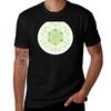 Unisexdalagreen Tshirt Basic Breathable Solid Color Tshirt