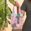 Large Capacity Handbags Transparent Makeup Bag Dopamine Storage Bags