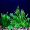 Искусственные подводные пластиковые растения аквариумный аквариум искусственный кустарник зеленая водная трава просмотр имитация украшения