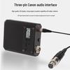 Weishu Zhen DC-10ST Professional Dual Headset Wireless Microphone System