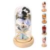Valentines Rose Birthday Gifts For Women, Artificial Flower Light Up Rose In Glass Cover Decorative Gift For Wife Mom Best Friend Girlfriend Grandma