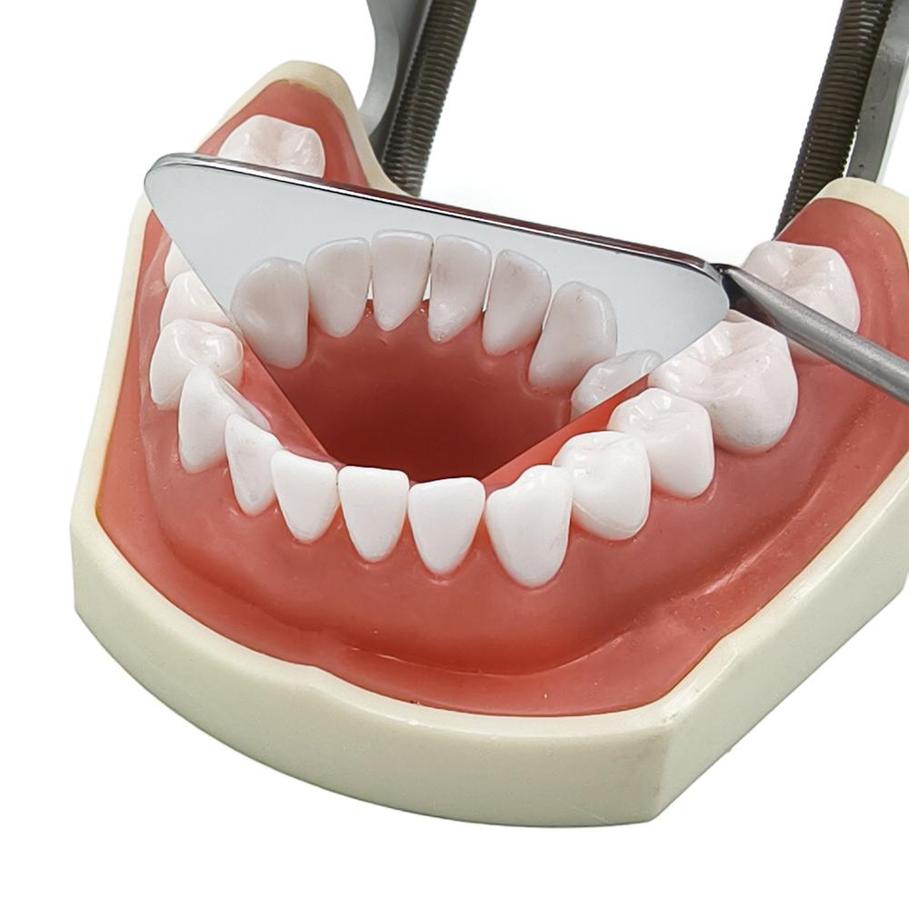 Зеркало для дентальной фотографии из нержавеющей стали, двустороннее, для передних и задних зубов, одонтология, ортодонтия, уход за полостью рта, автоклавируемое.