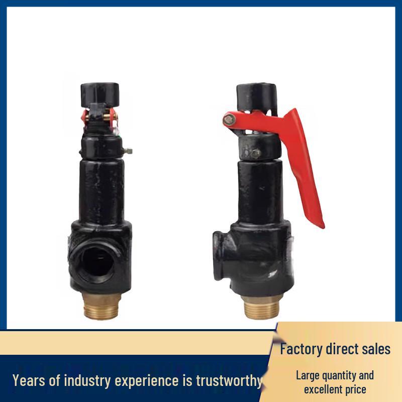 Miaoqiao A27W-16T Spring-Loaded Steam Safety Valve