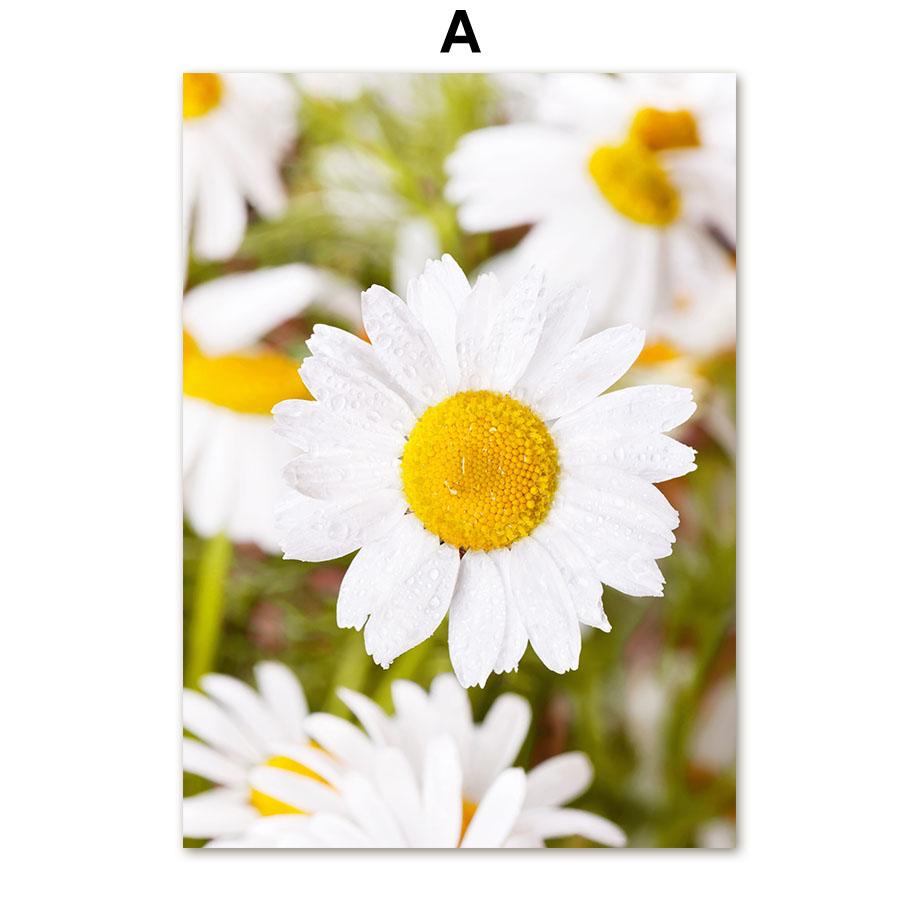 Гора, океан, водопад, девушка, ромашка, цитата, настенная живопись на холсте, постеры на скандинавскую тему и принты, настенные панно для декора гостиной