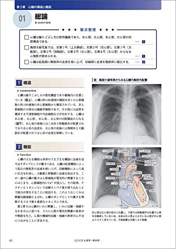 КРАТКАЯ ФИЗИОЛОГИЯ И АНАТОМИЯ: Структура, функция и патофизиология человеческого тела