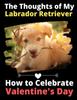 Книга The Thoughts of My Labrador Retriever : How To Celebrate Valentine's Day