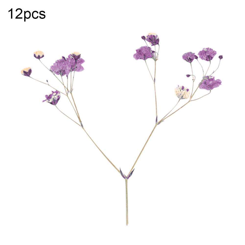 Сушёные цветы для рукоделия 12шт