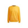 Adidas Big Logo Print Casual Sport Sweatshirt Men Tops Yellow HB5088