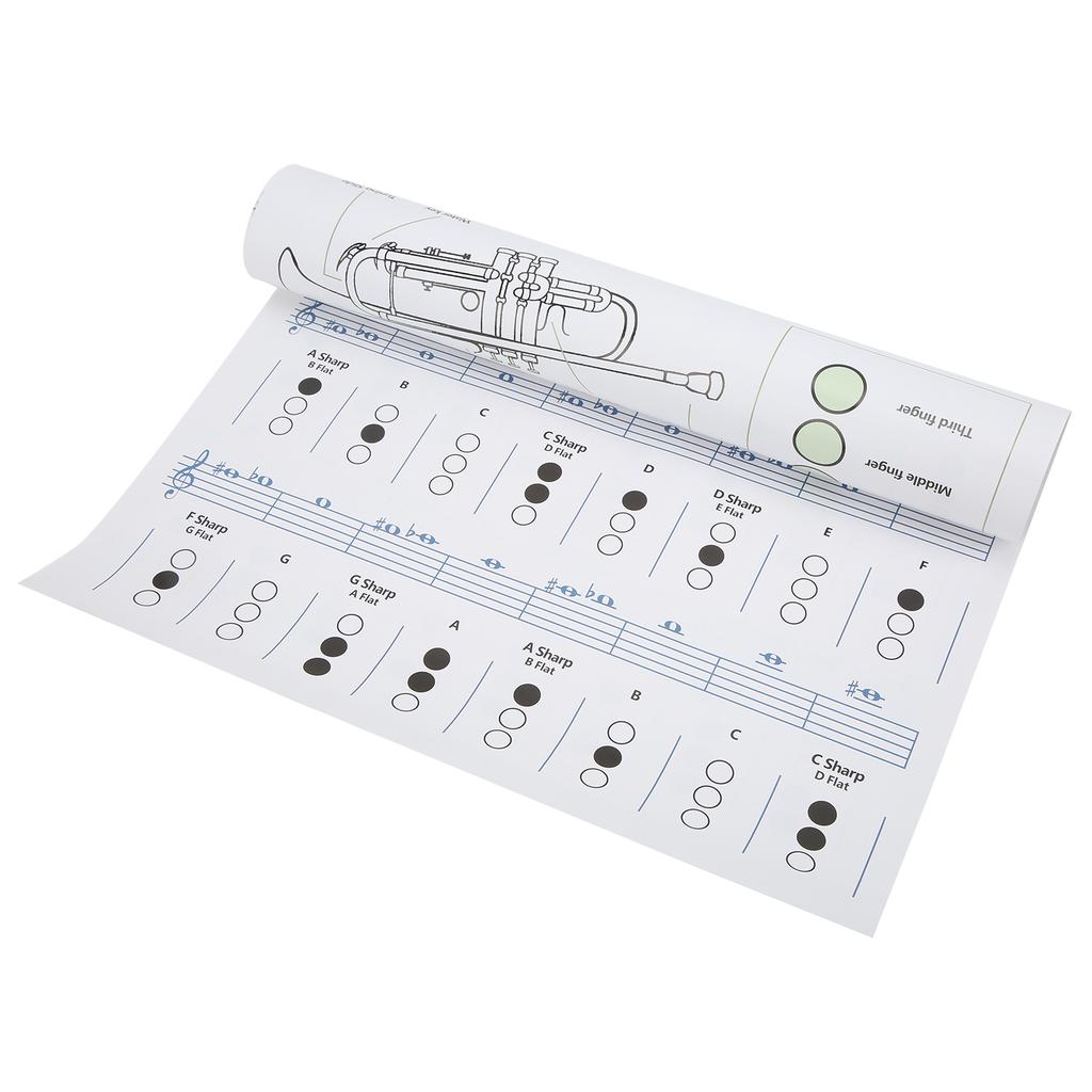 Таблица аккордов для трубы. Аппликатура нот. Справочное руководство по музыкальным инструментам для домашнего обучения.