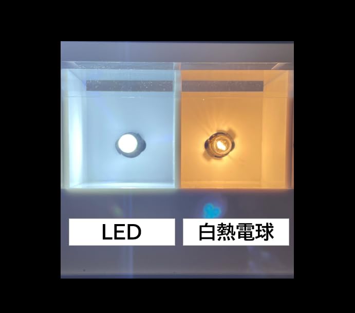 NISSEI KOGYO Polarg, LED Premium для плафона номерного знака, T10, 90 лм, 6700 К, J-278, P5168W, Производитель оригинальных ламп