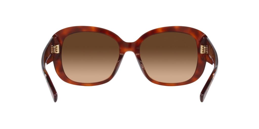 Sunglasses HC8363U CH564 CARAMEL TORTOISE GRADIENT Lens 56 [Coach] Frame/BROWN
