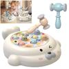Educational Interactive Toy Whack A Mole Game Hobbies  Pounding Hammers Included Knocking Toy Seal Montessori Toy Gift for Kid