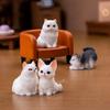 12 шт. Симуляция смолы Модель кошек Фигурка Безопасное настольное украшение Аксессуары для креативного садового ландшафтного дисплея