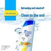 Head & Shoulders Anti-Dandruff Shampoo