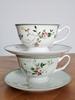 CUP SET OF 2 PIECES 220 ml WITH SAUCER FOR TEA AND COFFEE