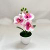 Multi-Bloom Simulated Butterfly Orchid White Flower Pot Plastic Fake Flower  Home Decor