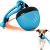 Interactive Dog Toys Ball with Motion Activated, Rolling Ball with Flashing Lights Chew-Resistant Squeaky Dog Toy for Puppy and Medium Dogs