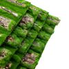 Natural Bark Moss Backdrop Board for Terrariums and Reptile Safe and Mold Resistant Habitats Background for Amphibian