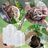 Шар для укоренения растений, grafting rooting box, ящик для размножения, ящик для выращивания корней растений под высоким давлением для садовых посадок