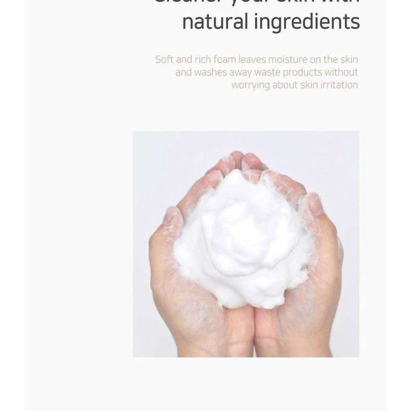 LEBELAGE - Fruit Peach & Apple Mango Cleansing Foam