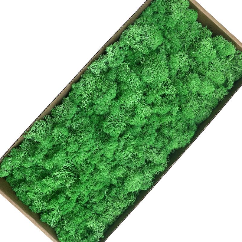 Preserved Flower & Moss Wall Decoration Kit: Flower Gift Box Materials