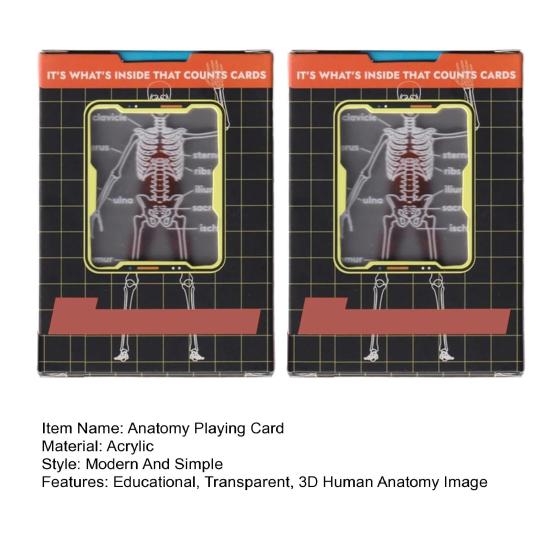 Колода тела Модель скелета Игральные карты Прозрачное 3D Изображение анатомии человека
