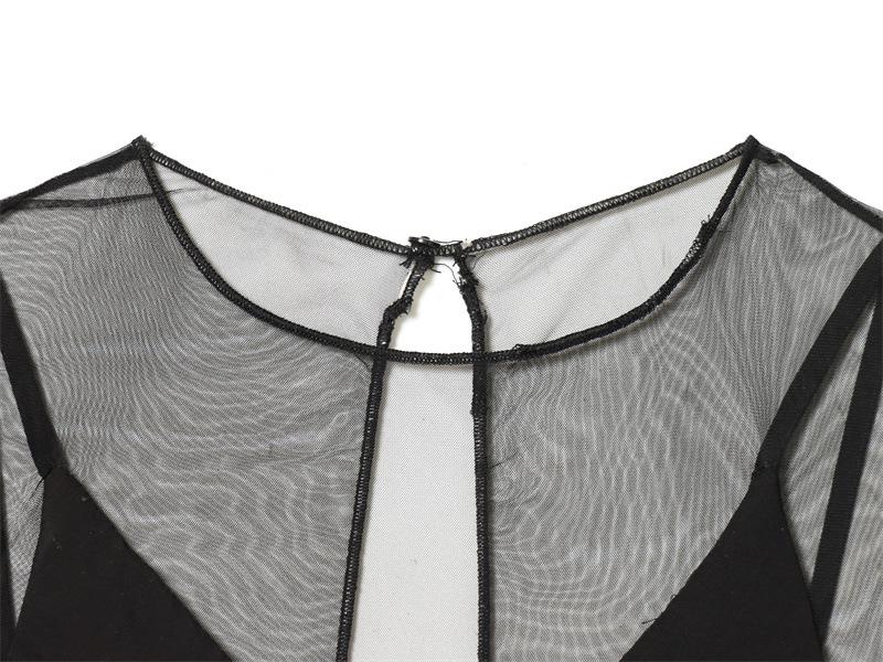 2025 Winter European & American Style Elegant Little Black See-through Dress