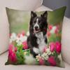 Милый Домашний Питомец Наволочка Шотландия Бордер Колли Наволочка для Дивана Автомобильного Декора Принт Собаки Мягкая Плюшевая Наволочка