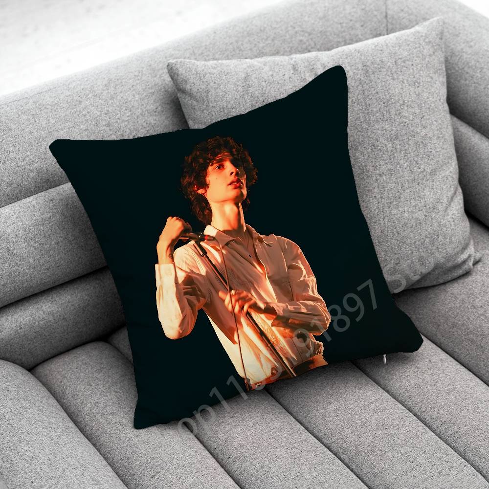 S-Sombr Back to Friends I Barely Know Her Throw Pillow Case For 30cm 40cm 45cm 50cm 55cm Square Sofa Pillowcase Shell