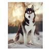 Алмазная картина по номерам, настенное искусство, собака хаски, сделай сам, настенные картины для украшения гостиной